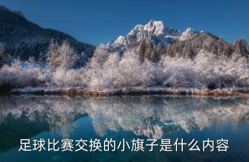 國家隊足球隊隊旗,阿根廷足球隊隊旗圖片