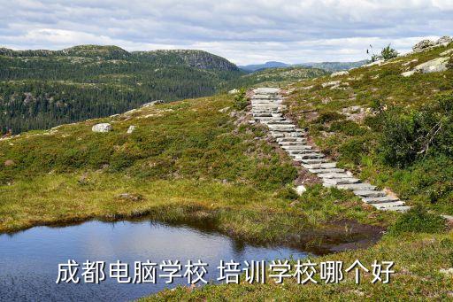 成都電腦學(xué)校 培訓(xùn)學(xué)校哪個(gè)好
