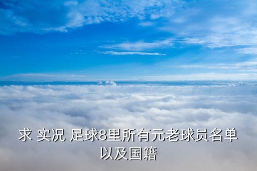實(shí)況足球8 佐拉