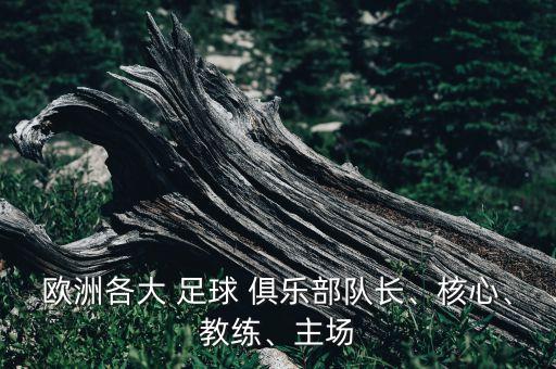 歐洲各大 足球 俱樂部隊長、核心、教練、主場