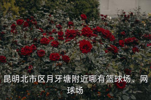昆明北市區(qū)月牙塘附近哪有籃球場、網(wǎng)球場