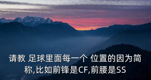 請(qǐng)教 足球里面每一個(gè) 位置的因?yàn)楹?jiǎn)稱,比如前鋒是CF,前腰是SS