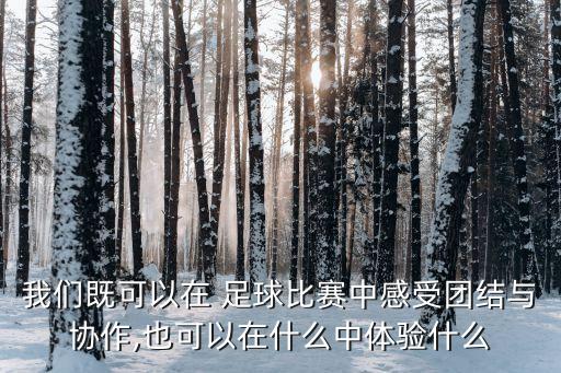 我們既可以在 足球比賽中感受團(tuán)結(jié)與協(xié)作,也可以在什么中體驗(yàn)什么