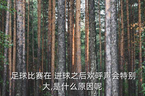  足球比賽在 進(jìn)球之后歡呼聲會(huì)特別大,是什么原因呢
