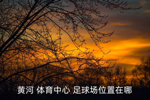 濟南體育學(xué)校兒童足球場,濟南黃河體育足球場
