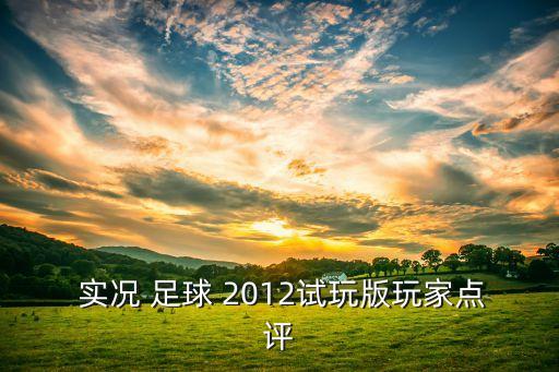  實況 足球 2012試玩版玩家點評