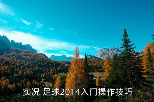  實(shí)況 足球2014入門(mén)操作技巧