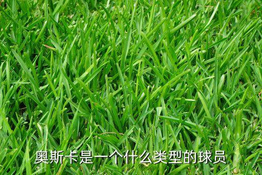 奧斯卡是一個什么類型的球員