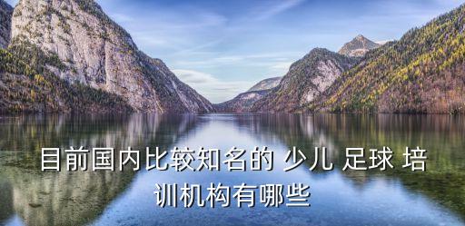 目前國(guó)內(nèi)比較知名的 少兒 足球 培訓(xùn)機(jī)構(gòu)有哪些