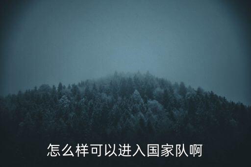 寧夏足球隊(duì)