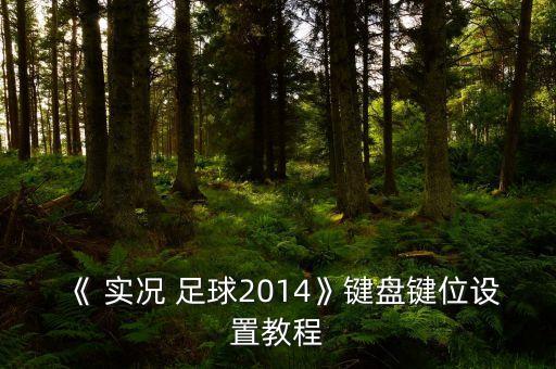 《 實(shí)況 足球2014》鍵盤(pán)鍵位設(shè)置教程