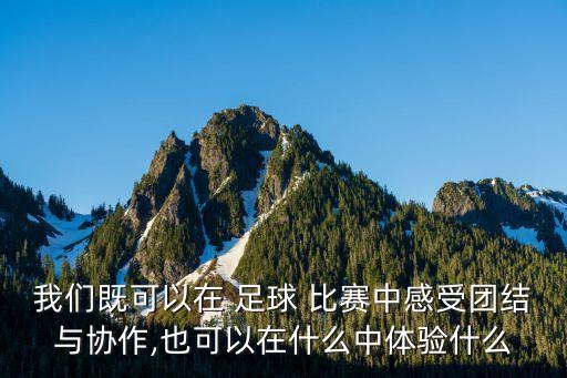 我們既可以在 足球 比賽中感受團(tuán)結(jié)與協(xié)作,也可以在什么中體驗(yàn)什么
