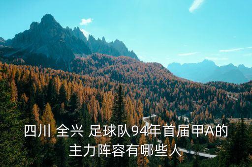 四川 全興 足球隊94年首屆甲A的主力陣容有哪些人
