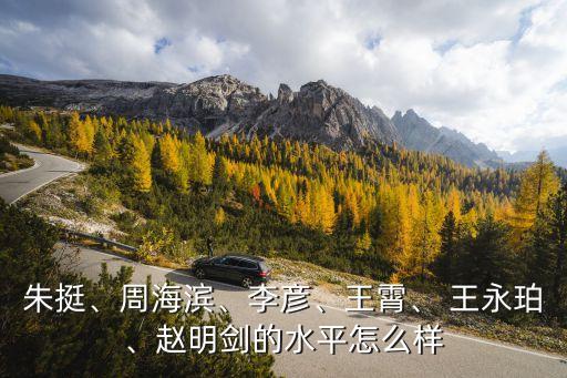 朱挺、周海濱、李彥、王霄、 王永珀、趙明劍的水平怎么樣
