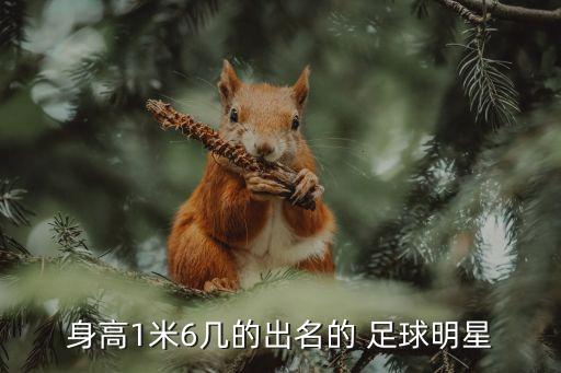 著名 足球運(yùn)動員 圖片大全,足球運(yùn)動員梅西頭像圖片大全