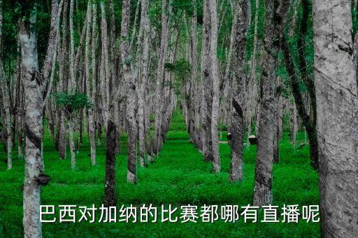 巴西對(duì)加納的比賽都哪有直播呢