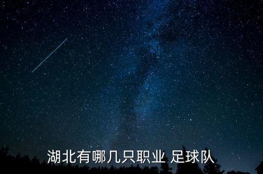湖北有哪幾只職業(yè) 足球隊(duì)