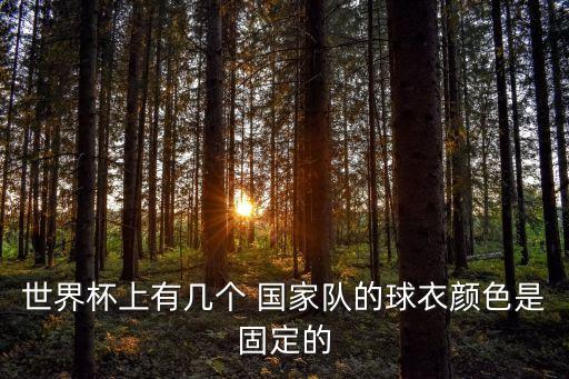 世界杯上有幾個(gè) 國家隊(duì)的球衣顏色是固定的