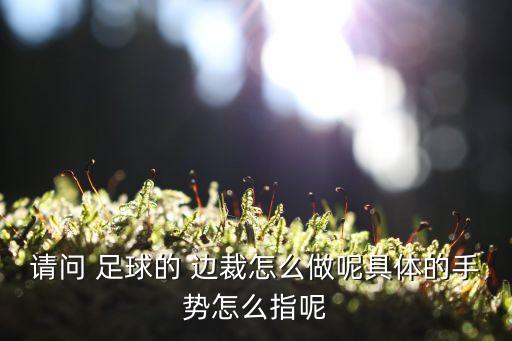 請問 足球的 邊裁怎么做呢具體的手勢怎么指呢
