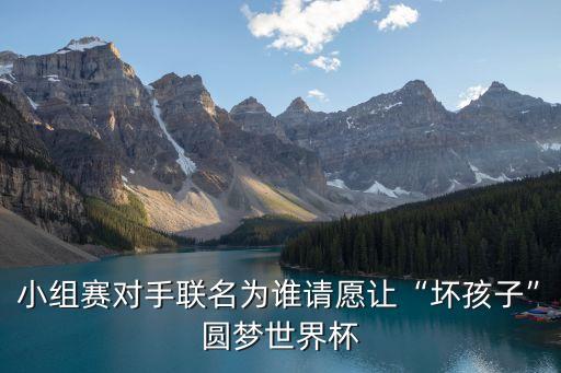 小組賽對(duì)手聯(lián)名為誰請(qǐng)?jiān)缸尅皦暮⒆印眻A夢世界杯