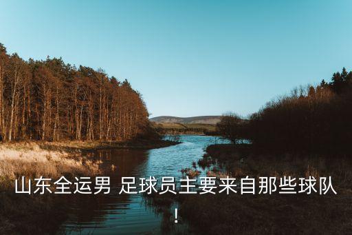 山東全運(yùn)男 足球員主要來(lái)自那些球隊(duì)!