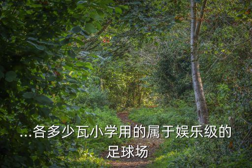 ...各多少瓦小學(xué)用的屬于娛樂級(jí)的 足球場