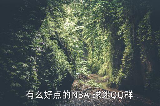 有么好點(diǎn)的NBA 球迷QQ群