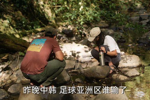 昨晚中韓 足球亞洲區(qū)誰(shuí)輸了