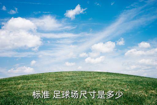 標(biāo)準(zhǔn) 足球場(chǎng)尺寸是多少