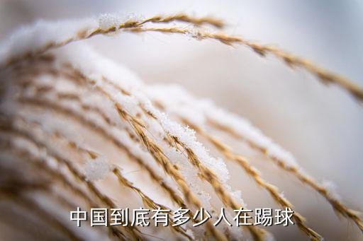 中國(guó)足球青少年注冊(cè)人數(shù),2022中國(guó)足球青少年聯(lián)賽