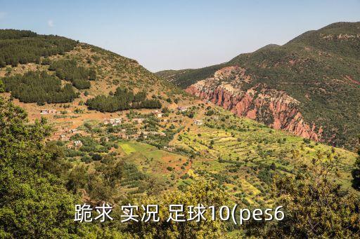 跪求 實況 足球10(pes6