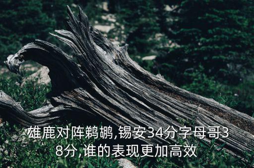 活塞與雄鹿足球最近比賽成績(jī)