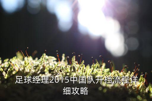  足球經(jīng)理2015中國隊開檔流程詳細(xì)攻略