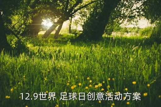 12.9世界 足球日創(chuàng)意活動(dòng)方案