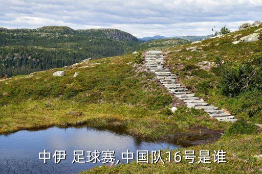  中伊 足球賽,中國隊16號是誰