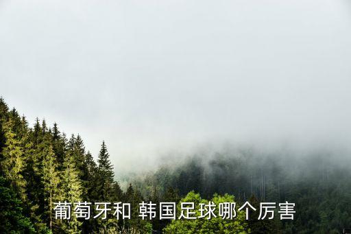 韓國足球隊世界排名第幾,世界足球排名最新