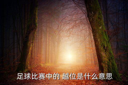越位 足球,越位足球術語的意思