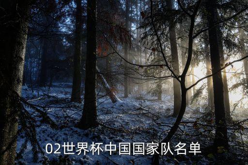 02世界杯中國(guó)國(guó)家隊(duì)名單