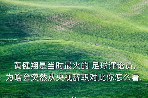  黃健翔是當(dāng)時(shí)最火的 足球評(píng)論員,為啥會(huì)突然從央視辭職對(duì)此你怎么看...