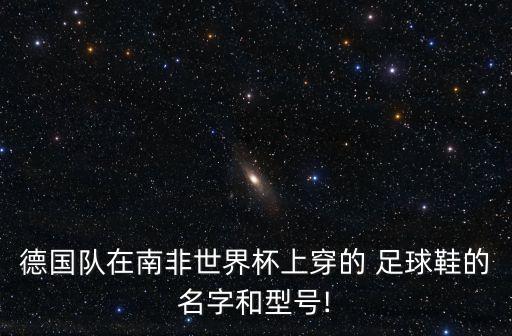德國隊在南非世界杯上穿的 足球鞋的名字和型號!