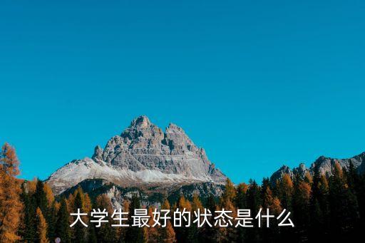 大學(xué)生最好的狀態(tài)是什么