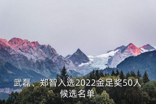 武磊、鄭智入選2022金足獎50人候選名單
