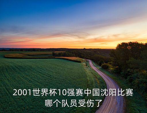 2001世界杯10強賽中國沈陽比賽哪個隊員受傷了