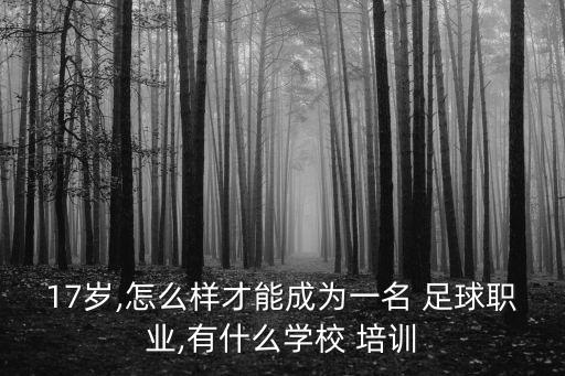 高校足球出國培訓,高校教師出國培訓管理辦法