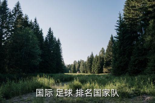國際 足球 排名國家隊