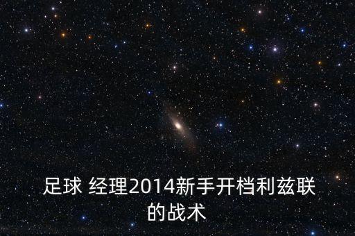  足球 經(jīng)理2014新手開檔利茲聯(lián)的戰(zhàn)術(shù)
