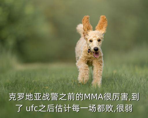 克羅地亞戰(zhàn)警之前的MMA很厲害,到了 ufc之后估計每一場都敗,很弱