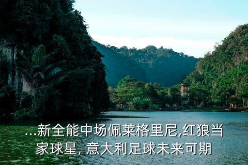 ...新全能中場(chǎng)佩萊格里尼,紅狼當(dāng)家球星, 意大利足球未來(lái)可期