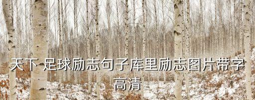 天下 足球勵(lì)志句子庫(kù)里勵(lì)志圖片帶字高清