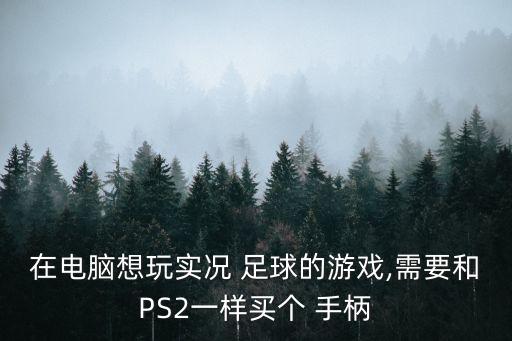 在電腦想玩實(shí)況 足球的游戲,需要和PS2一樣買(mǎi)個(gè) 手柄